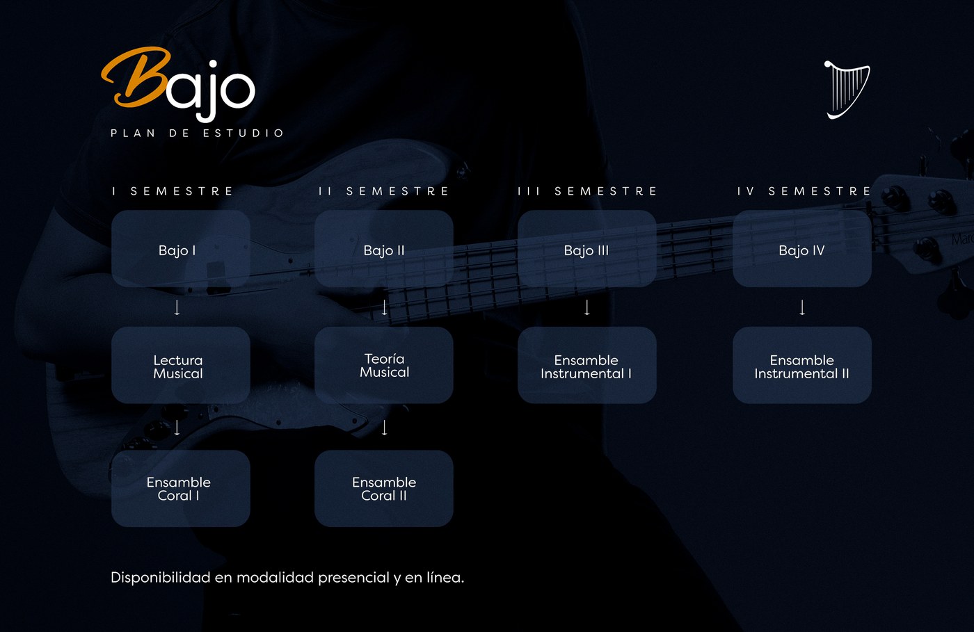 Plan de estudio Bajo